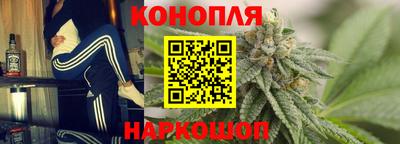 гидропоника Новозыбков