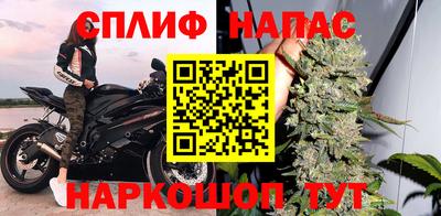 гидропоника Новозыбков