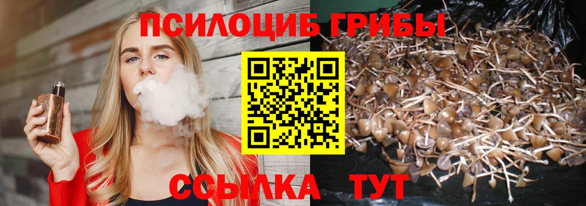 Галлюциногенные грибы прущие грибы Усть-Илимск