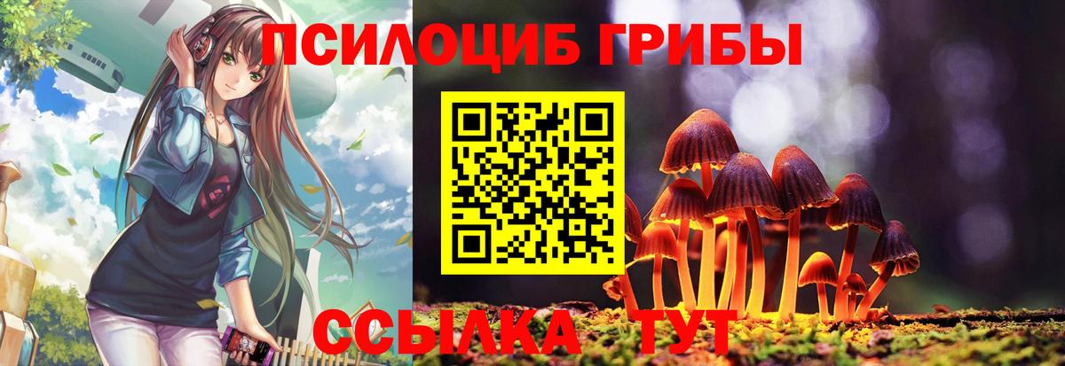 Псилоцибиновые грибы прущие грибы  Вход с VPN  Усть-Илимск  Псилоцибиновые грибы Magic Shrooms 